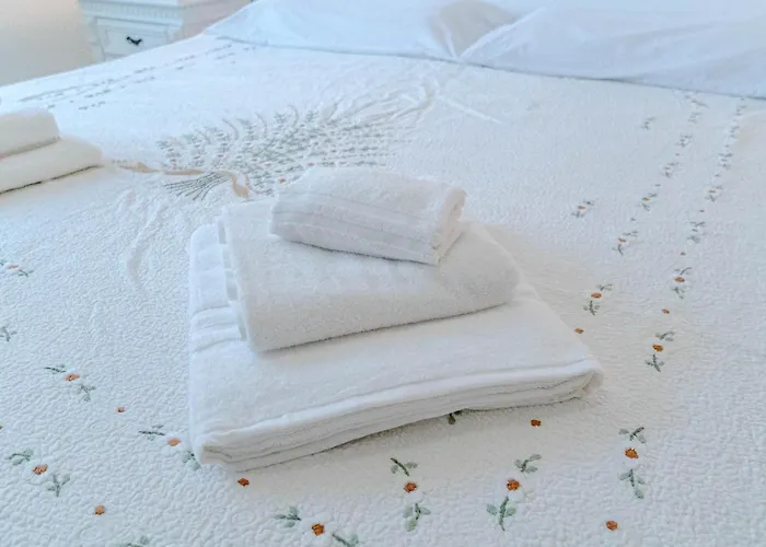 Guesthost - Lingotto Comfy *