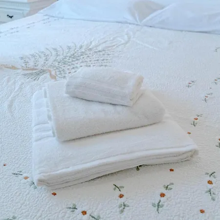 Guesthost - Lingotto Comfy *